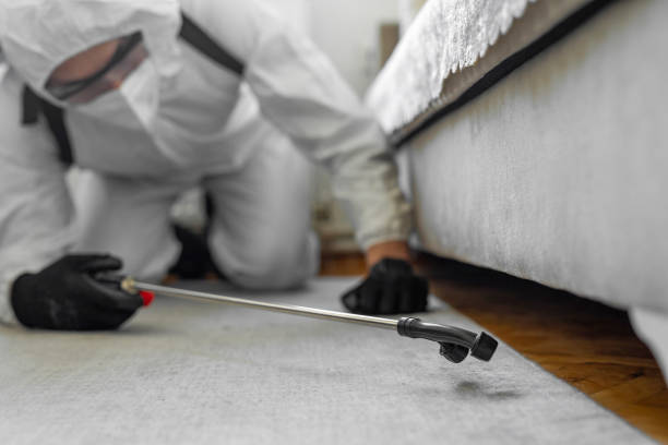 Professional Cockroach Control technician working in Chicopee, MA
