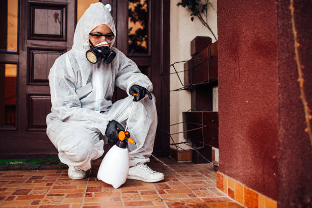 Reliable Cockroach Control contractor in Chicopee, MA by Nex Pest Control