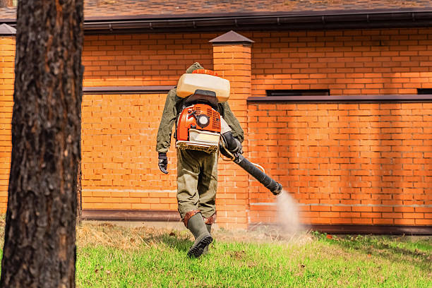 Trusted Emergency Pest Control service in Chicopee, MA - Nex Pest Control